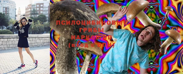 тгк Бугульма