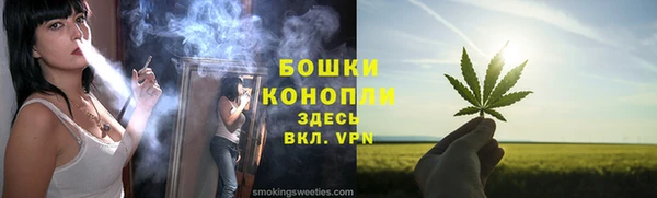 ПСИЛОЦИБИНОВЫЕ ГРИБЫ Верхний Тагил
