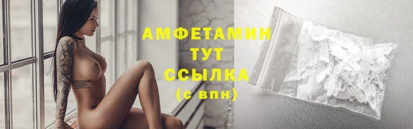 ПСИЛОЦИБИНОВЫЕ ГРИБЫ Верхний Тагил