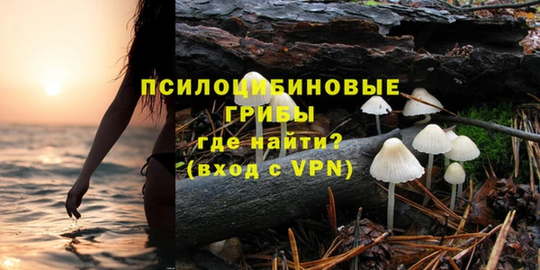 ПСИЛОЦИБИНОВЫЕ ГРИБЫ Верхний Тагил