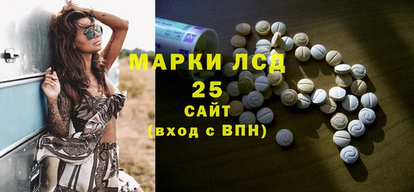 ПСИЛОЦИБИНОВЫЕ ГРИБЫ Верхний Тагил