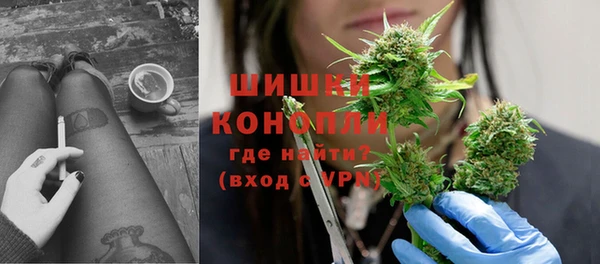 ПСИЛОЦИБИНОВЫЕ ГРИБЫ Верхний Тагил